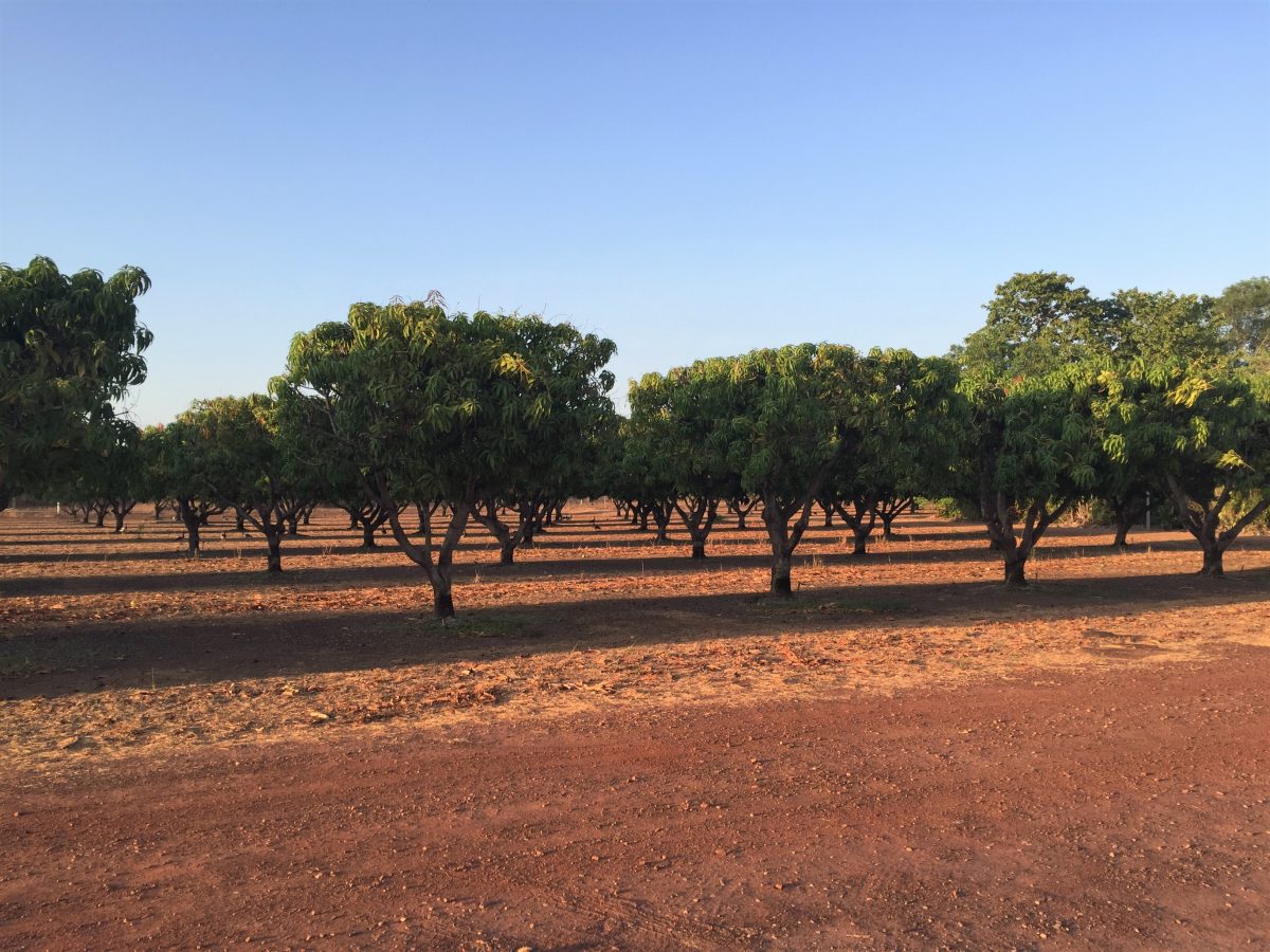 The theme of this year’s conference is Development and the Environment; topical keynote speeches, presentations and workshops will feature government and industry experts, farmers and scientists, traditional owners and environmental activists.