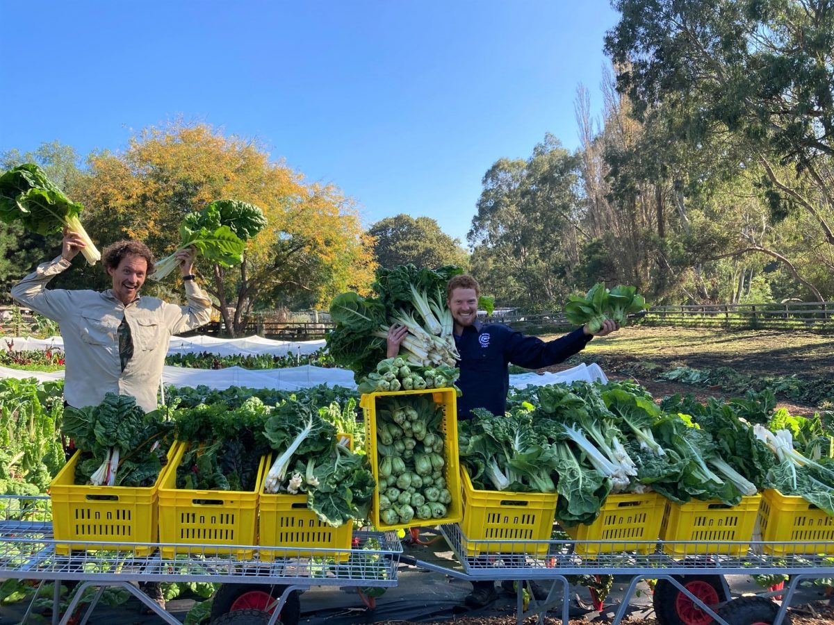 https://www.futurefoodsystems.com.au/wp-content/uploads/2021/05/Simeon-Ash-and-Sam-Shacklock-with-a-haul-from-the-CCF-market-garden.-Credit-Collingwood-Childrens-Farm_20100507-Sim-and-Sam-1200x900.jpg