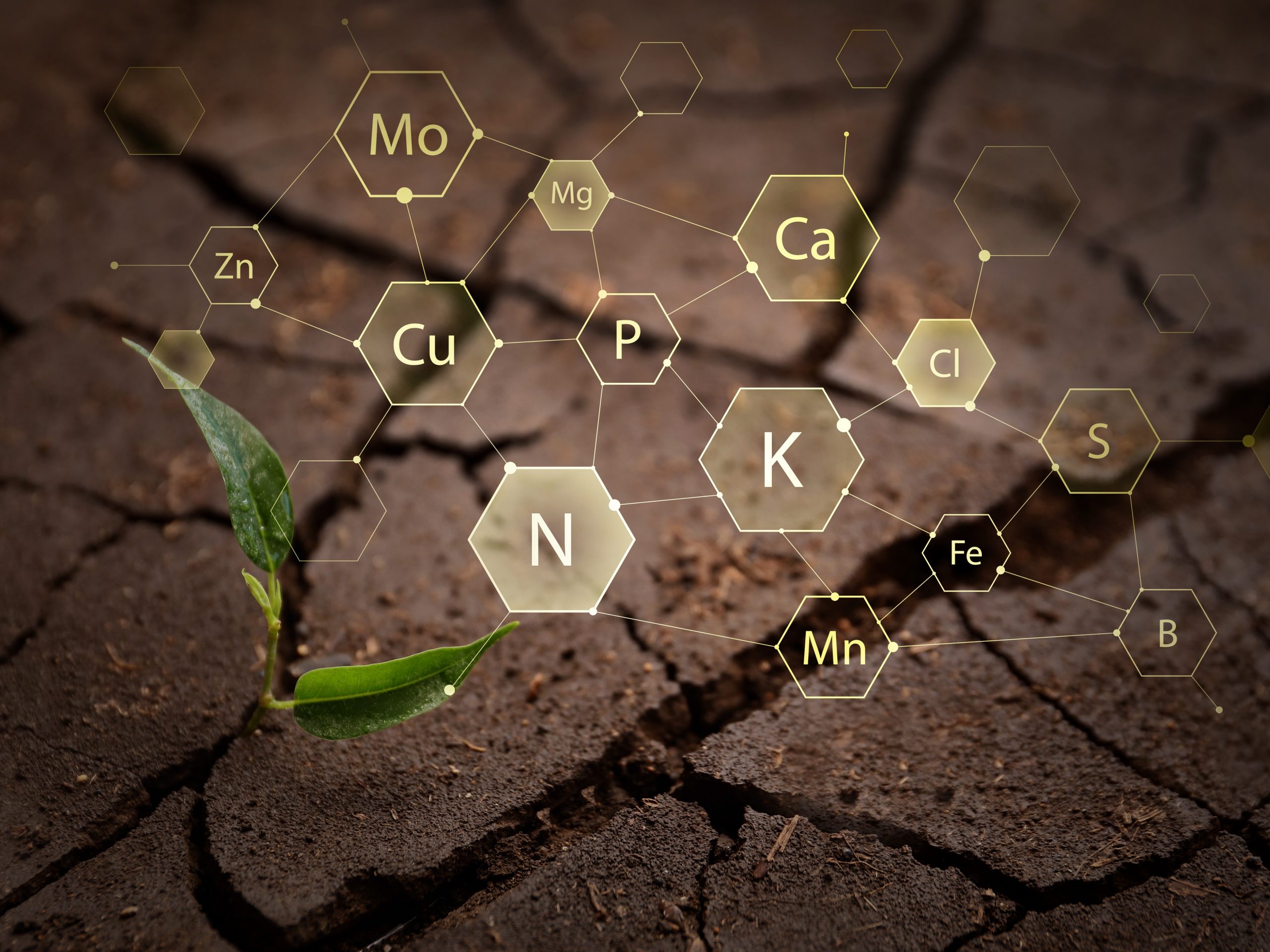 WSU Soil Biology Masterclass 2022