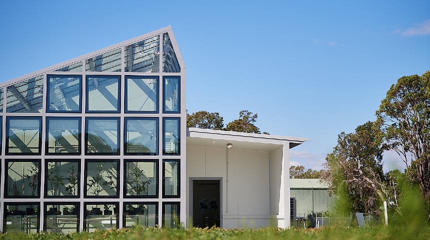 The world's first clear solar glass greenhouse is up and running at Murdoch University's grains research precinct. Renowned geneticist Professor Chengdao Li and his team will use the facility to develop new breeding technologies for use in commercial cropping.