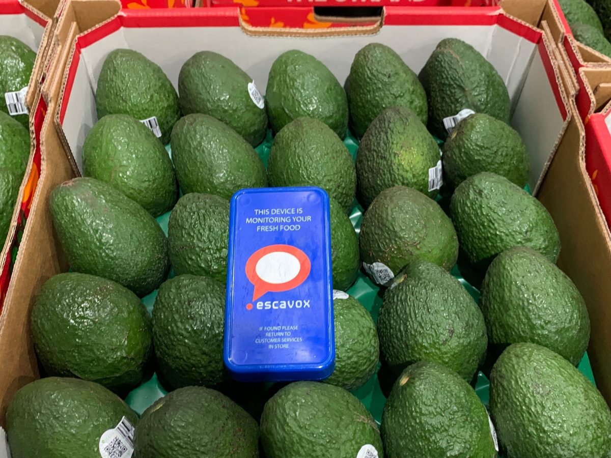 https://www.futurefoodsystems.com.au/wp-content/uploads/2021/06/Escavoxs-Blue-Box-tracking-tool-in-a-box-of-avocadoes-ready-for-its-journey-along-the-supply-chain.-Credit-Escavox_CROP-scaled-1200x900.jpg