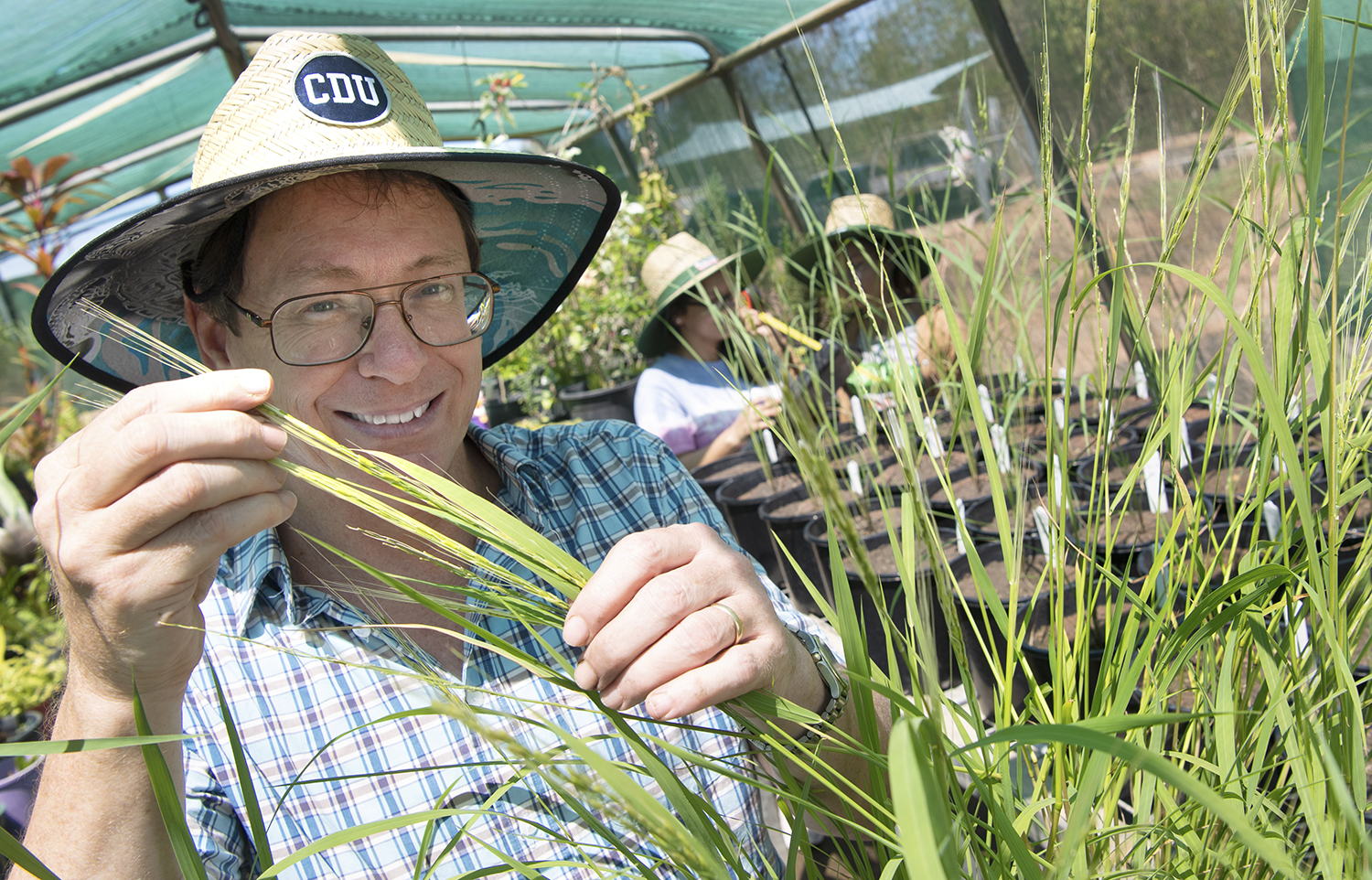 In stage 1 of this multi-year collaboration, two CRC partner universities, NT Government and three First Nations enterprises have joined forces to collect, analyse and develop protocols for the world's first broadacre plantings of native wild rice in Northern Australia.