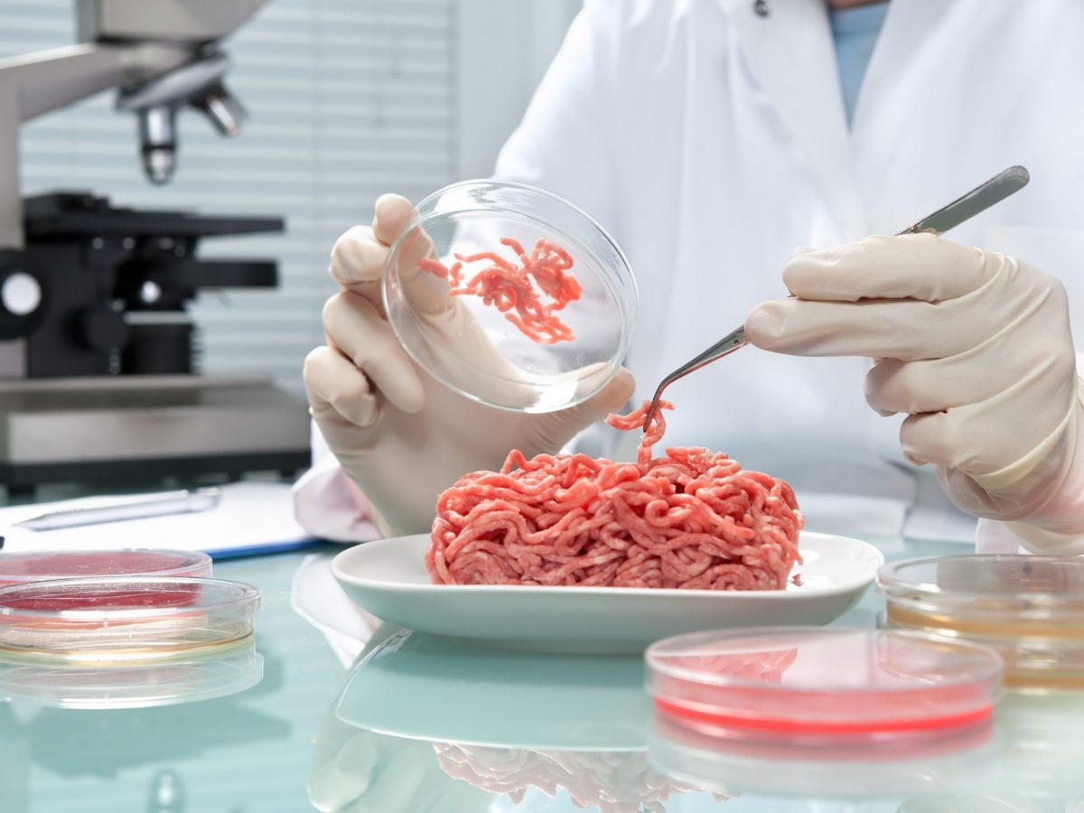 The Future of Food 