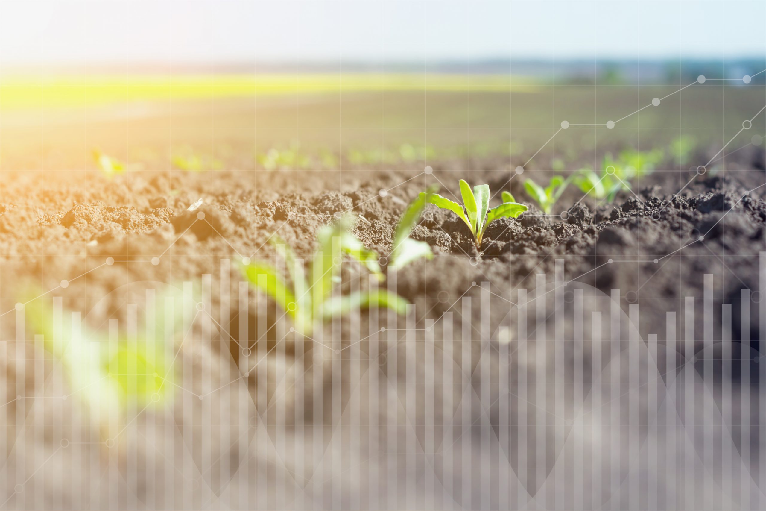 Spatially enabling Australian tree crops