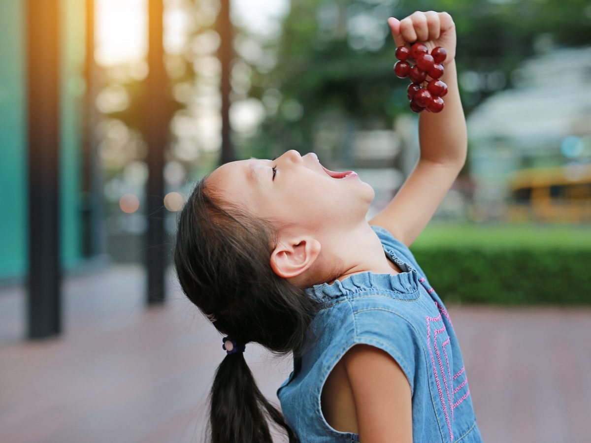 https://www.futurefoodsystems.com.au/wp-content/uploads/2021/08/Asian-child-enjoying-premium-grapes.-Table-grapes-can-attract-high-premiums-in-markets-across-the-ASEAN-region.-Credit-Shutterstock_707452198_CROP-scaled-1200x900.jpg