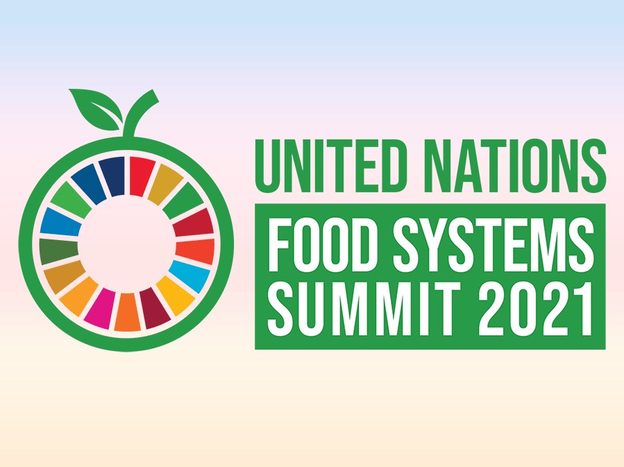 UN Secretary General’s Food Systems Summit Future Food Systems