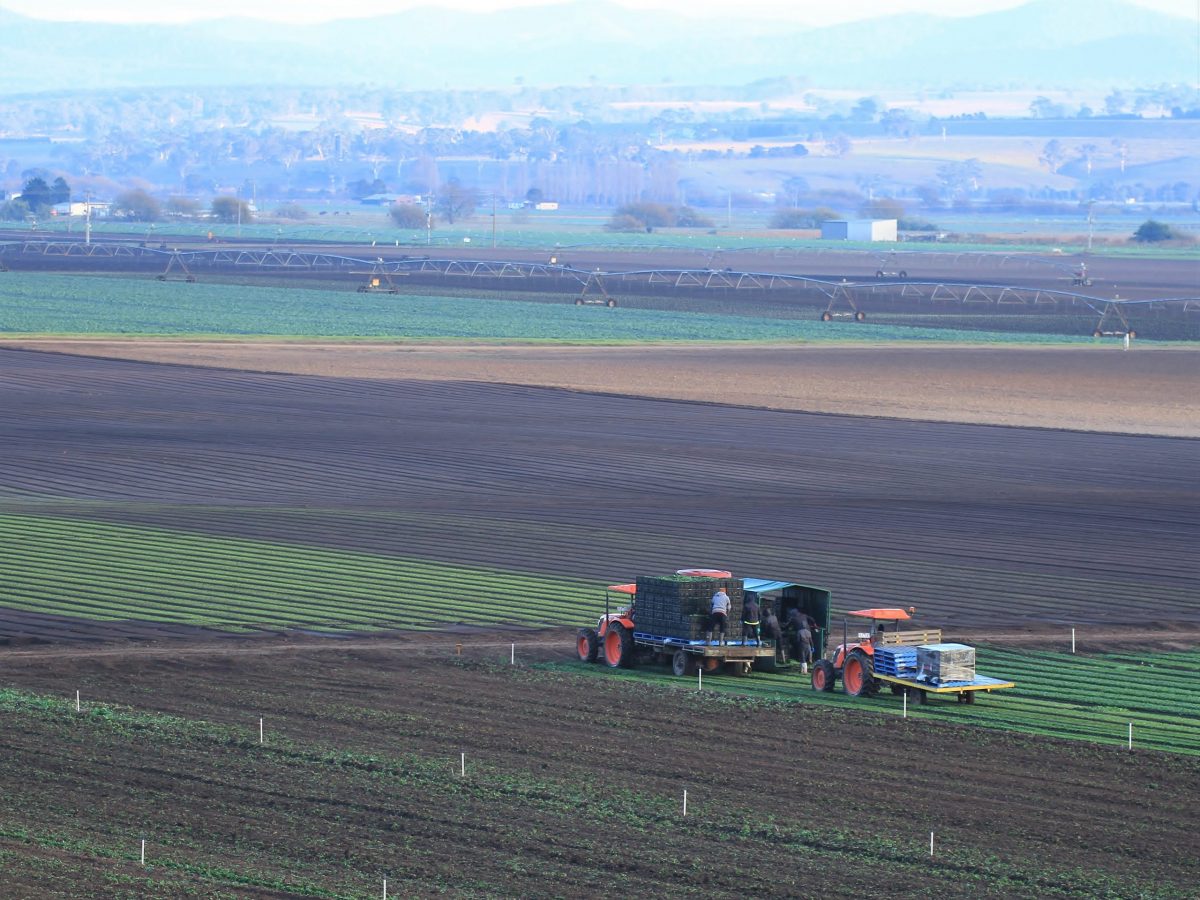 https://www.futurefoodsystems.com.au/wp-content/uploads/2021/08/Vegetable-farm-Gippsland.-Credit-Shutterstock_1106560922_CROP-1-scaled-1200x900.jpg