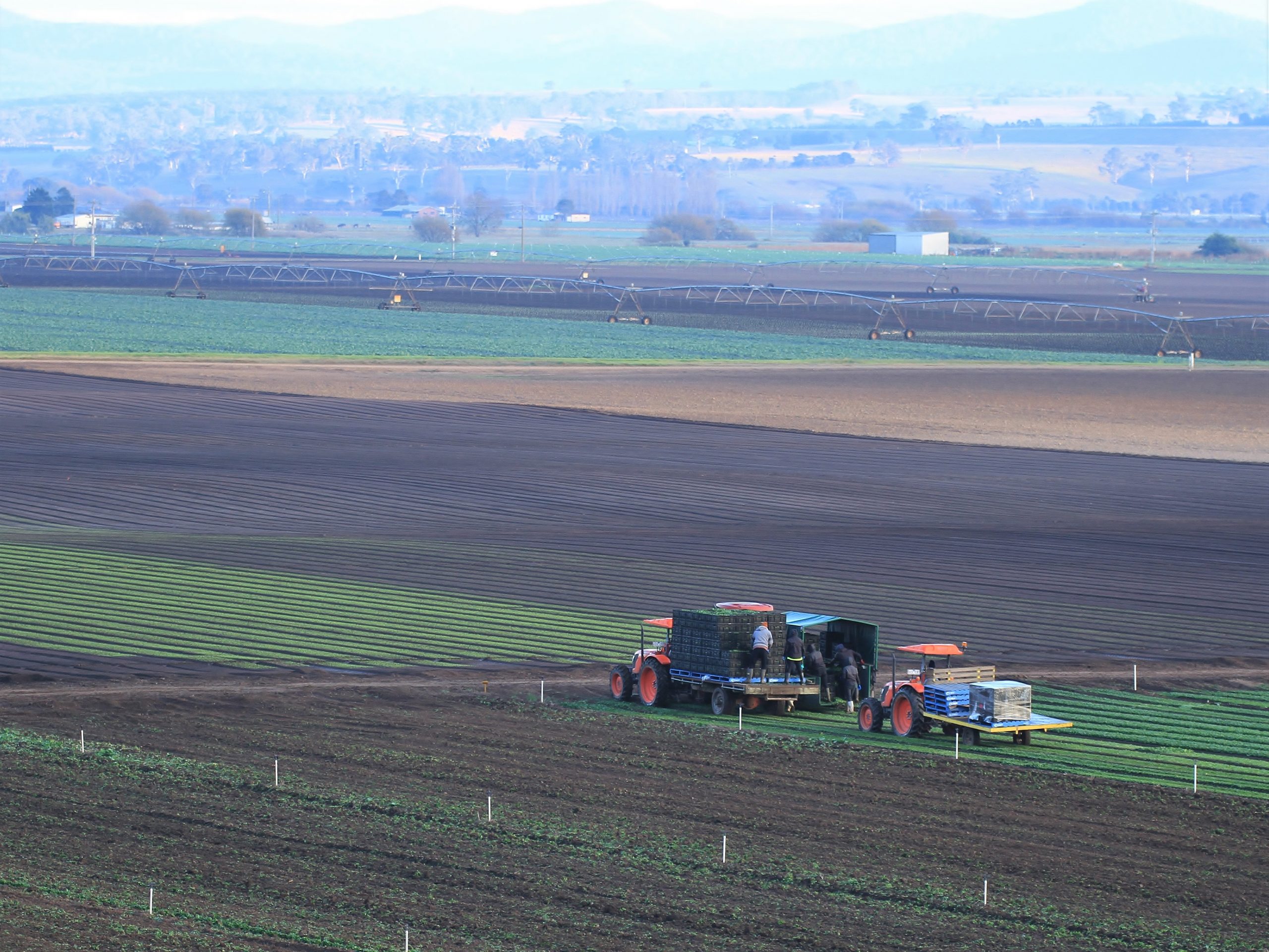 CRC food cluster participant Food & Fibre Gippsland has applied the European Union model of Smart Specialisation to undertake feasibility and technical studies for a recycling facility to valorise waste streams from the $7 billion Gippsland sector.