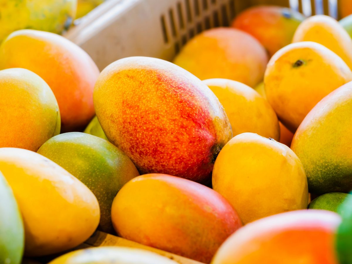 https://www.futurefoodsystems.com.au/wp-content/uploads/2021/09/Calypso-mangoes-in-box.-Credit-Shutterstock_1431730142_CROP-scaled-1200x900.jpg