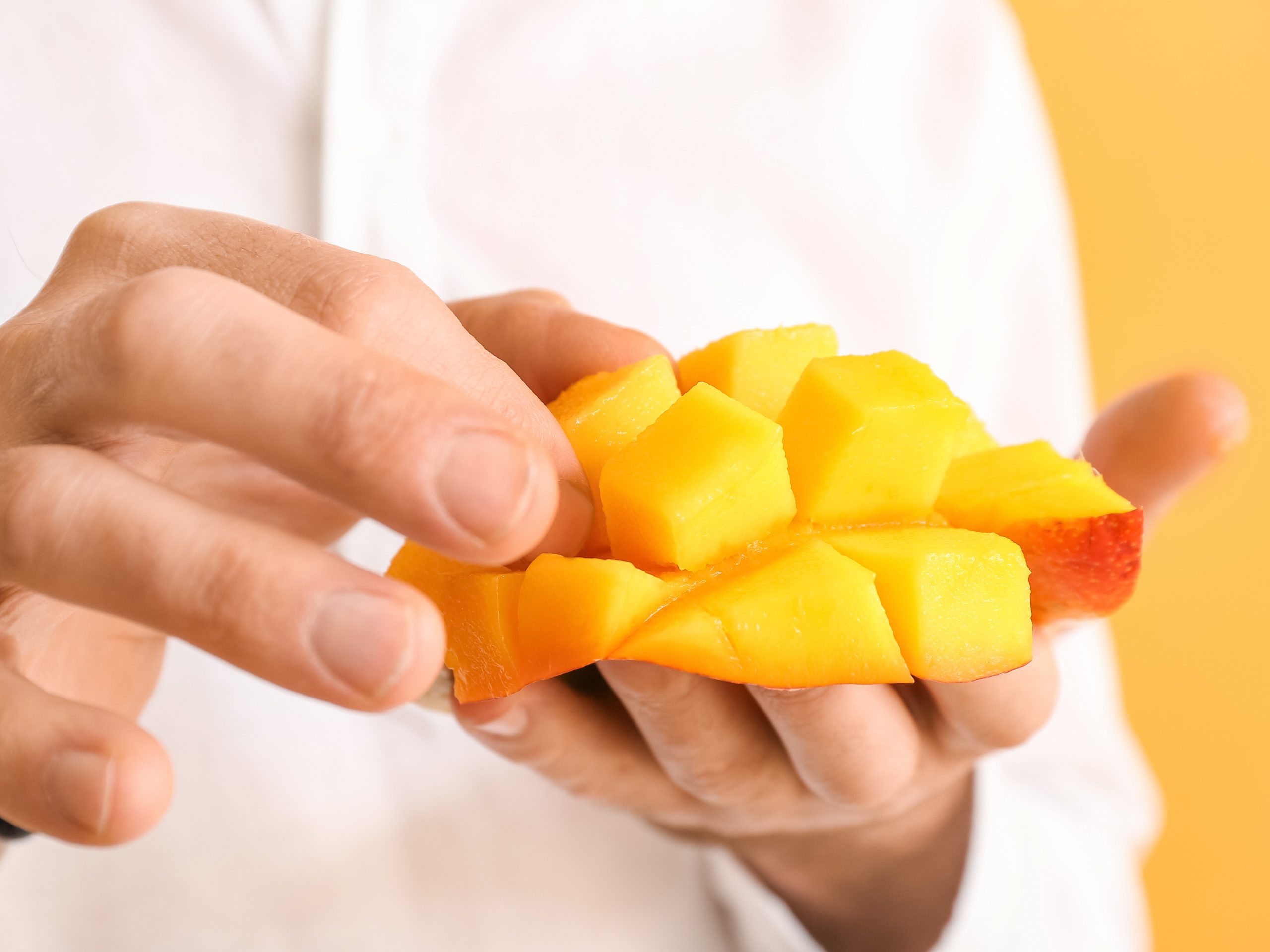 As another bumper season begins Down Under, Perfection Fresh CEO Michael Simonetta talks with Fresh Plaza about the company’s plans for a mango-led global expansion.