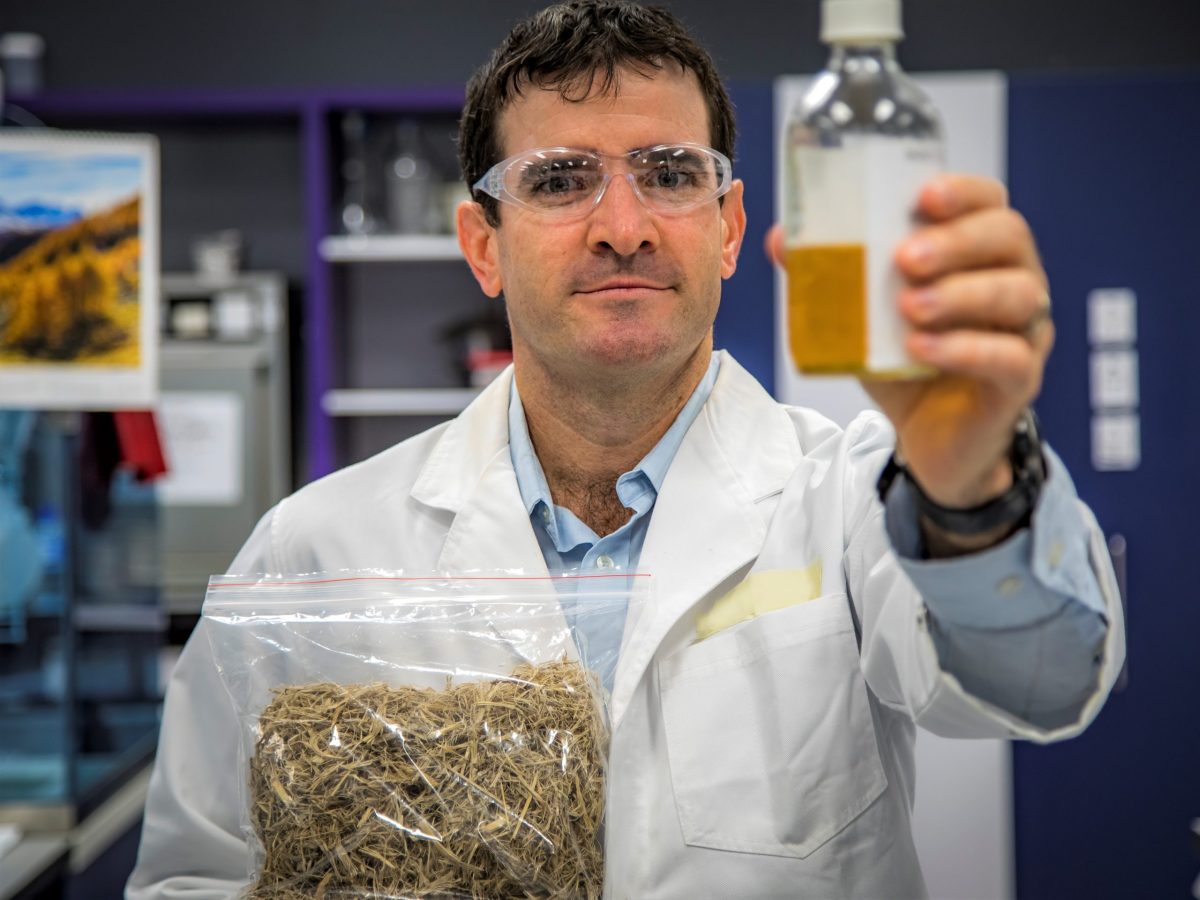 Mackay biorefinery pilot plant ready for take-off