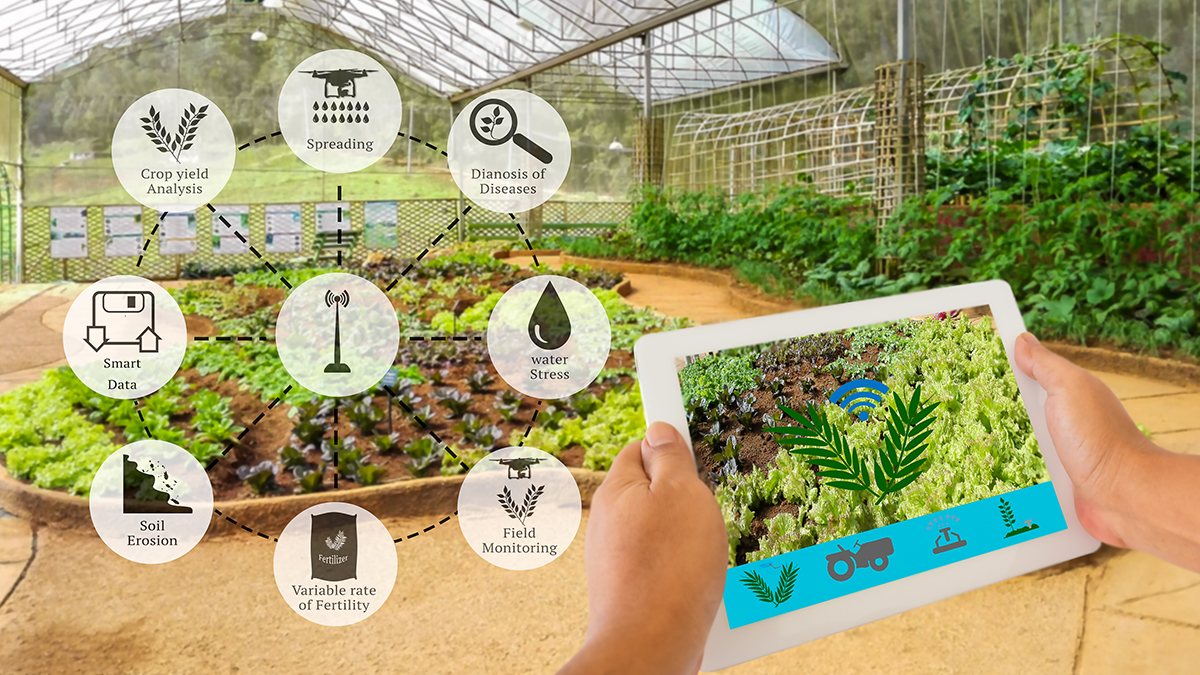 https://www.futurefoodsystems.com.au/wp-content/uploads/2021/10/PrecisionAgricultureAndAgritechConcept.jpg