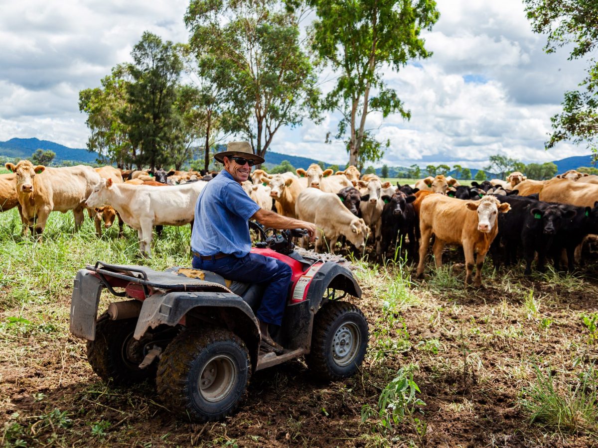 https://www.futurefoodsystems.com.au/wp-content/uploads/2021/10/shutterstock_1940840290-1-scaled-e1633501569105-1200x900.jpg