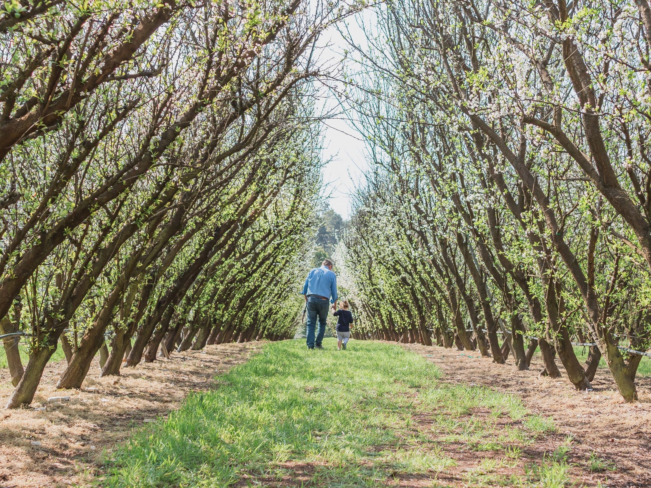 Peel Development Commission has launched a roadmap to help the region’s food and beverage producers capitalise on market opportunities domestically and overseas.