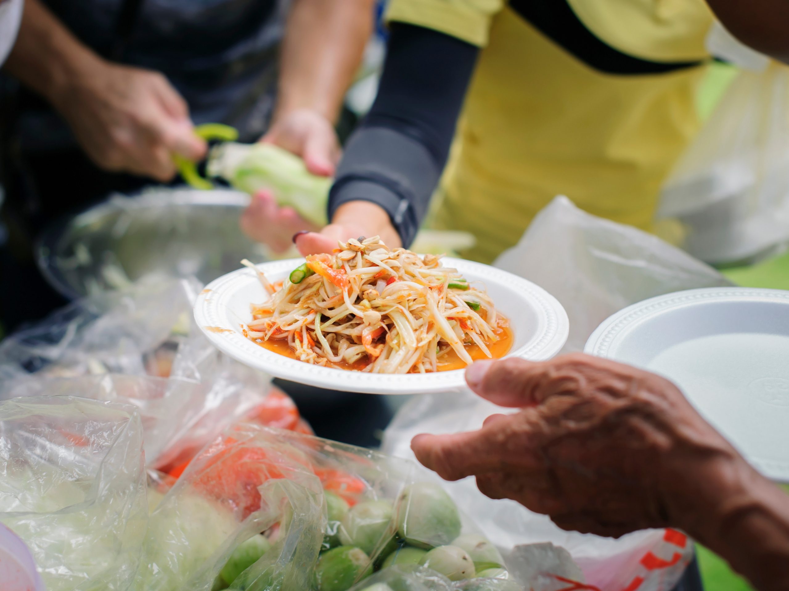 Fair Food Futures workshops
