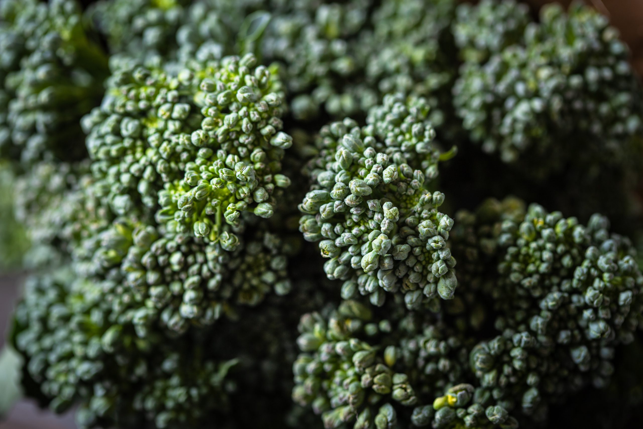 Delivering new solutions that improve quality and yield in broccolini