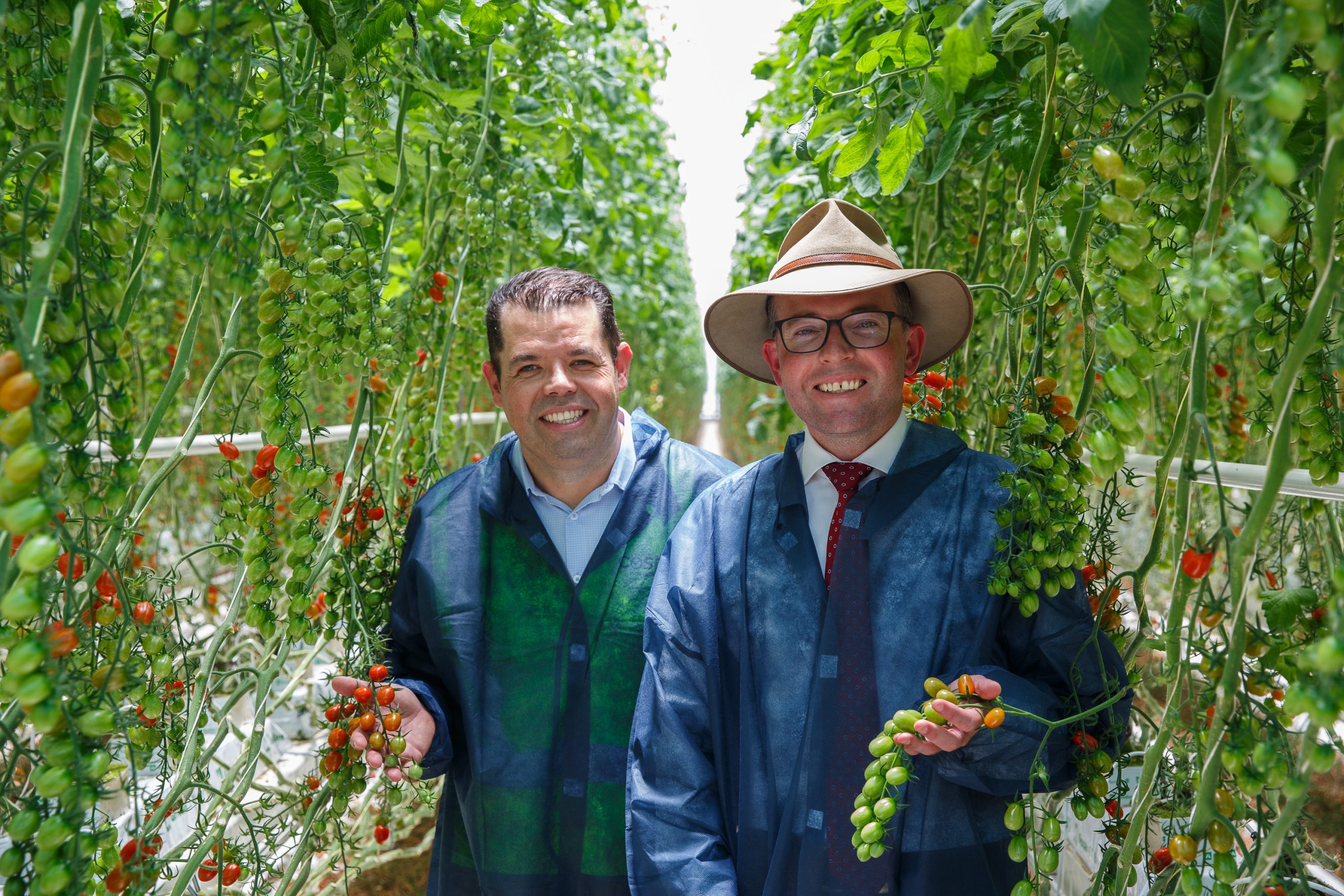 The expansion of Costa's Tomato Exchange glasshouse facility near Guyra, NSW, brings its total footprint to 40+ hectares, making it the largest such complex in the Southern Hemisphere.