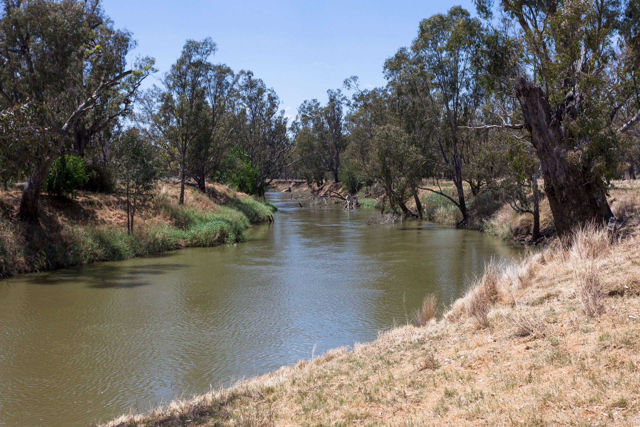 Towards a smart agribusiness sector in the Namoi