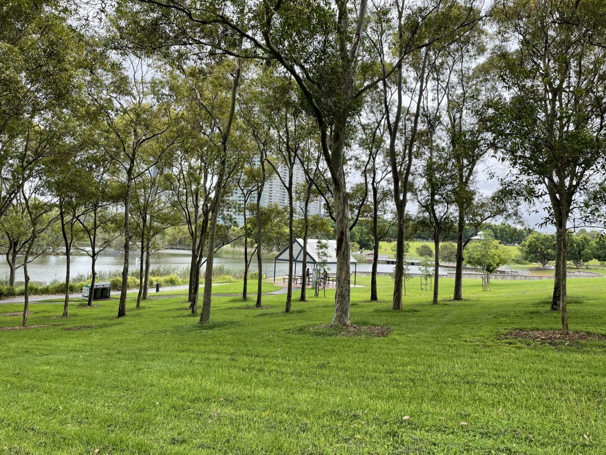 https://www.futurefoodsystems.com.au/wp-content/uploads/2022/02/Bicentennial-Park-in-Western-Sydney-is-soon-to-become-the-citys-coolest-green-space-thanks-to-a-WSU-helmed-project.-Credit-Sebastian-Pfautsch-courtesy-of-WSU-Media-scaled-1200x900.jpg