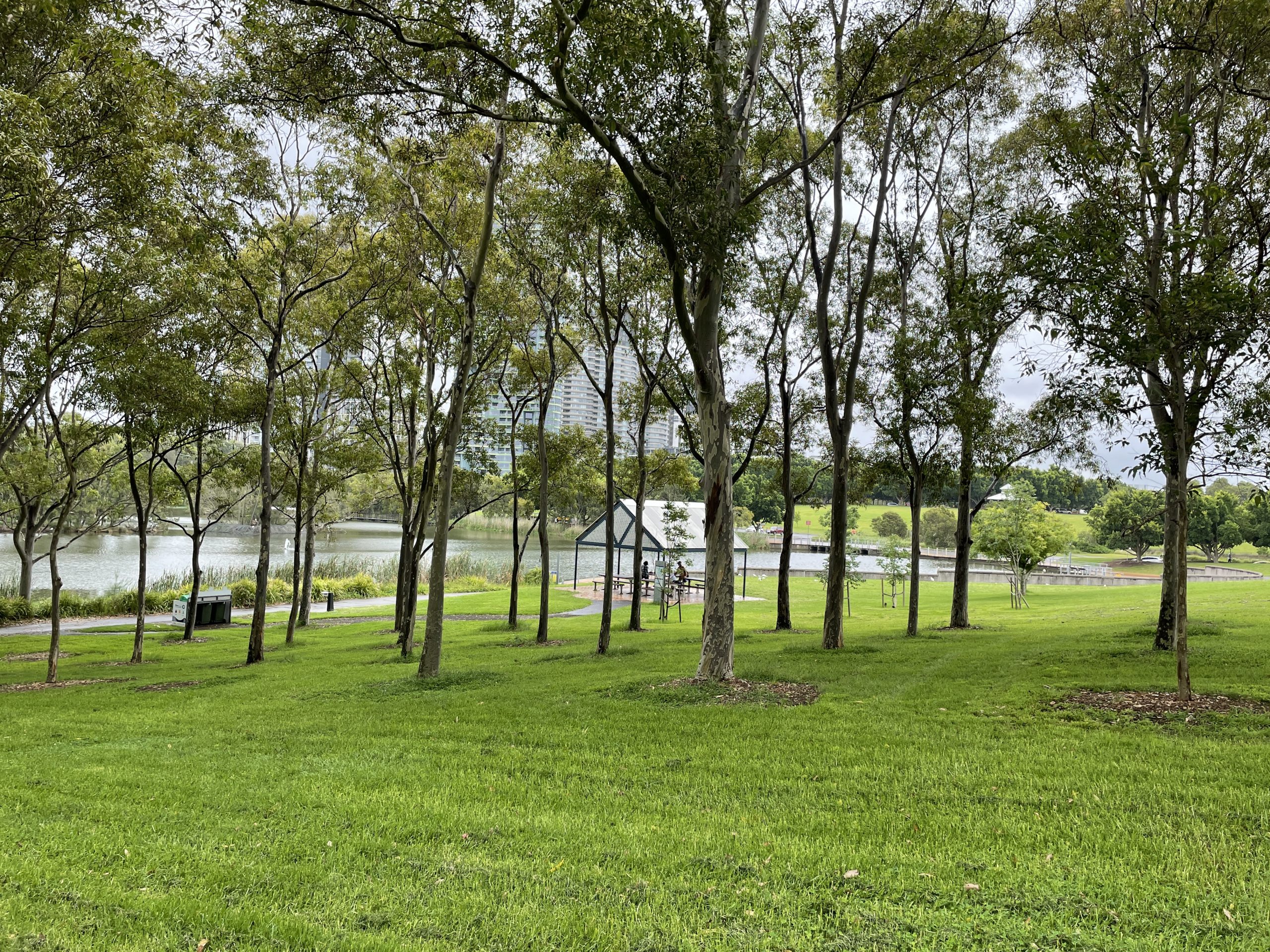 Western Sydney University researchers are leading an expert team that will transform Bicentennial Park at Sydney Olympic Park into the coolest public park in the state.
