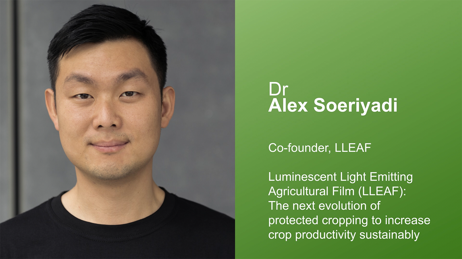 LLEAF P/L CEO Dr Alex Soeriyadi is working with Hort Innovation, DPI and Western Sydney University scientists to trial his prototype agricultural films on glasshouse-grown blueberry and lettuce crops. Here, he explains how it all works.