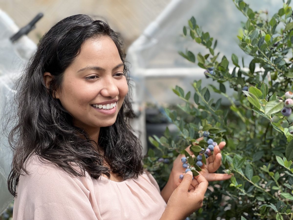 https://www.futurefoodsystems.com.au/wp-content/uploads/2022/03/Gareema-NSW-DPI-on-blueberry-greenhouse-2-1-scaled-1200x900.jpg