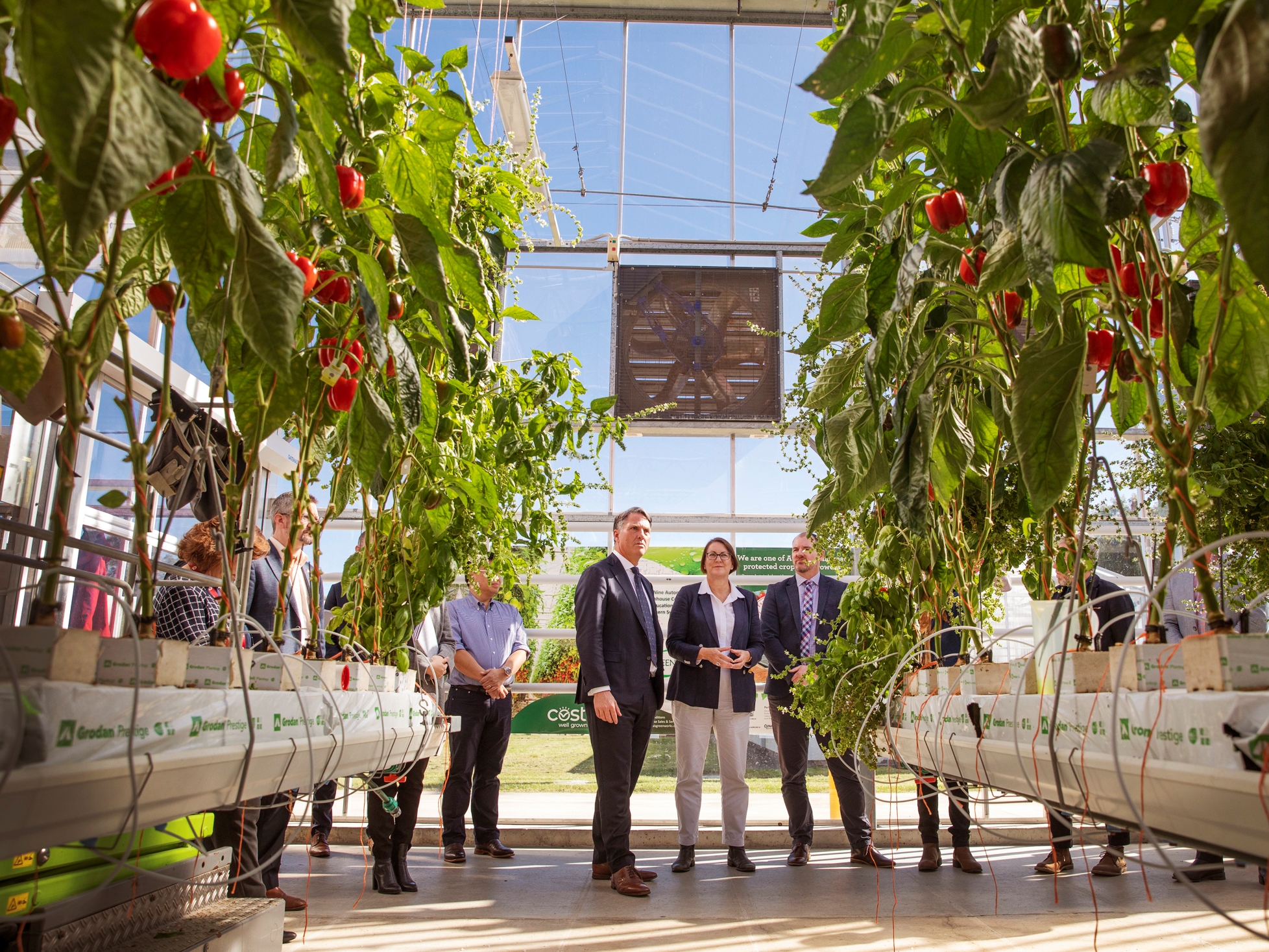 Federal Labor has promised to fund one-third of WSU’s $50m Agri Tech Hub, which is set to become the nation’s first high-tech commercial, teaching and research greenhouse complex.