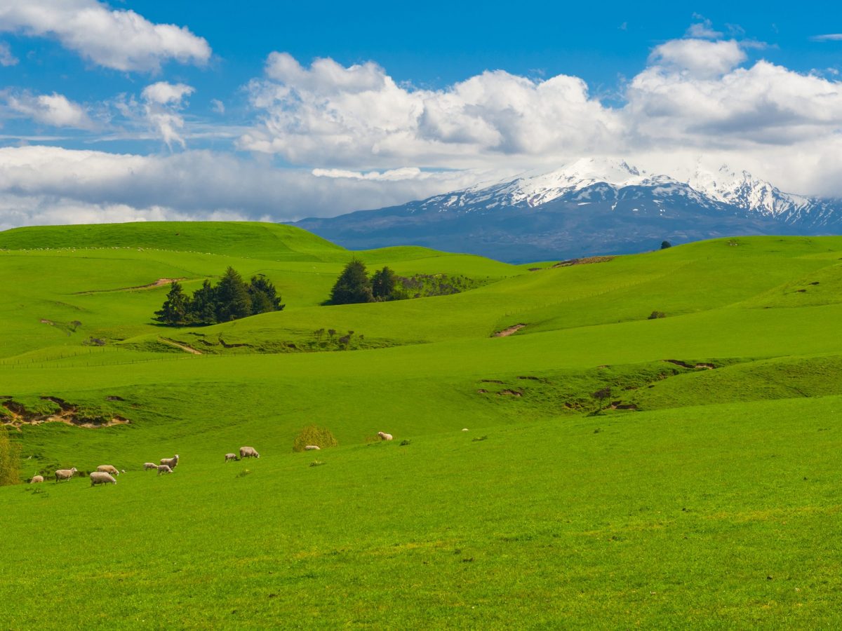 E Tipu 2022: The Boma Agri Summit
