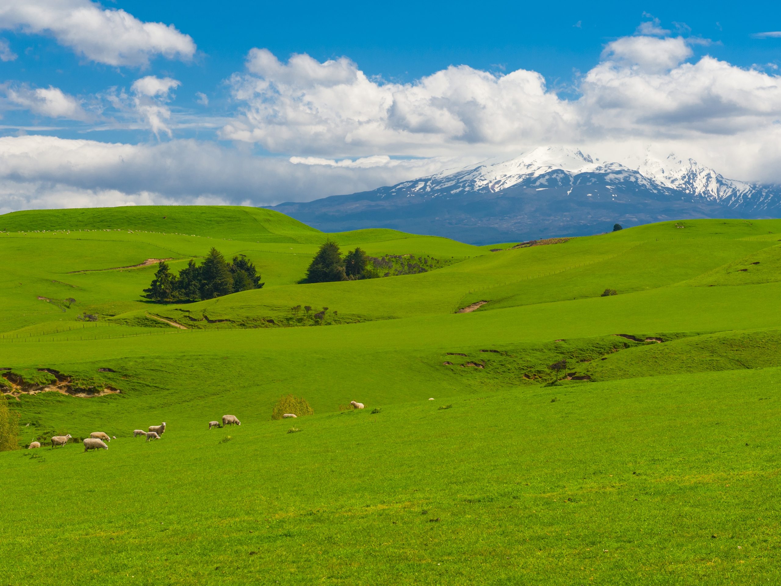 E Tipu 2022: The Boma Agri Summit