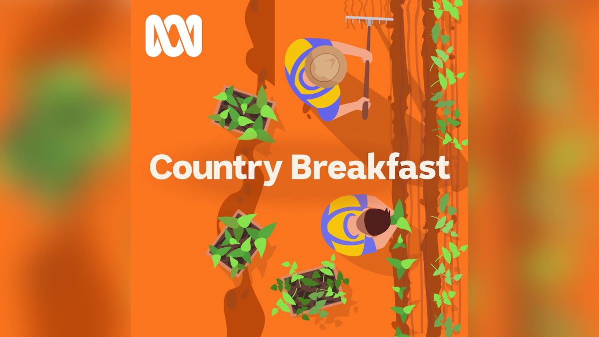 Country Breakfast features