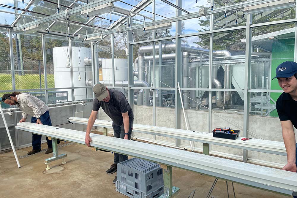 Costa Group is constructing a scaled-down version of its commercial glasshouse at UNE to house CRC project trials seeking cues to crop stress that can alert growers to act, preventing costly losses. 
