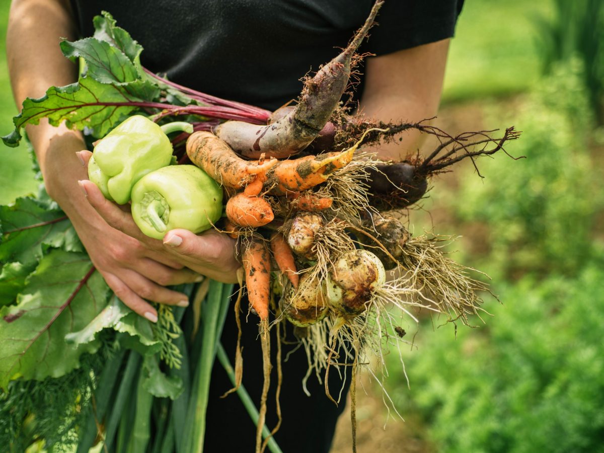 Join host Tegan Taylor, The George Institute's Professor Jason Wu and Vanessa Matthijssen in discussion on how nutrition can revolutionise health and wellbeing.