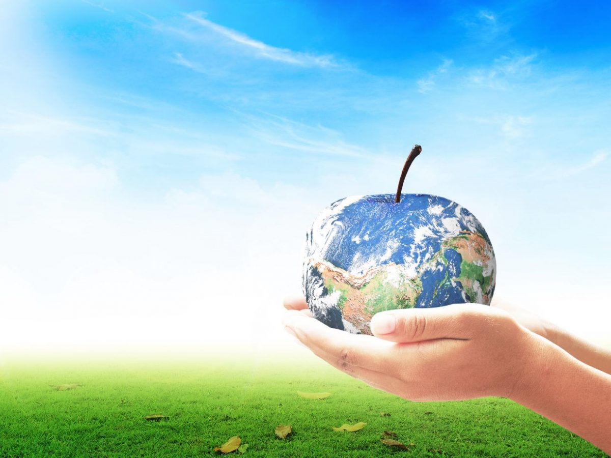 1st International Conference on Food Waste to Food Sustainability