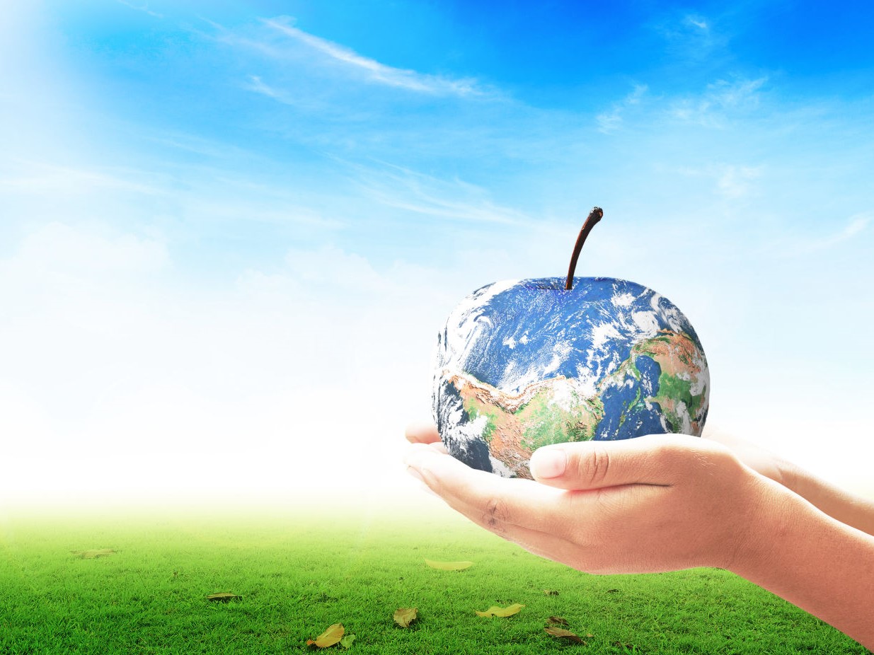 1st International Conference on Food Waste to Food Sustainability