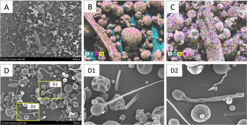 Magnesium Citrate Powders from Waste Bitterns via Crystallization and Spray Drying