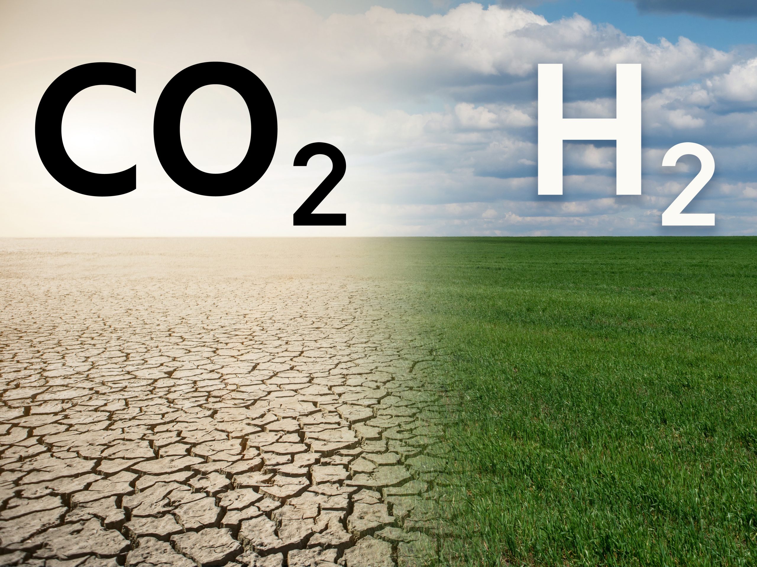 Business Decarbonisation Pathways – Working towards Net Zero