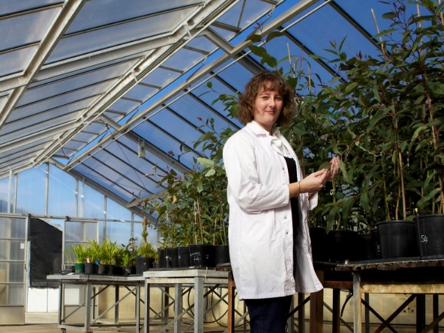 She’s the Academic Chair in Biosecurity and Food Security at Murdoch University and a seasoned plant biotechnologist. A/Prof. Bayliss also leads a $1.4M project part-funded by the CRC that's set to boost the yields of popular fruit and vegetable crops. 