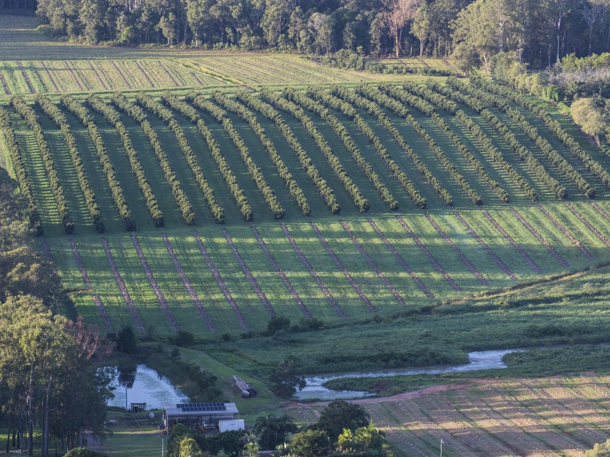 The Food & Agribusiness Network (FAN)’s second Ag-Tech Demo Day will showcase ag-tech solutions providers across the Sunshine Coast’s Noosa region.