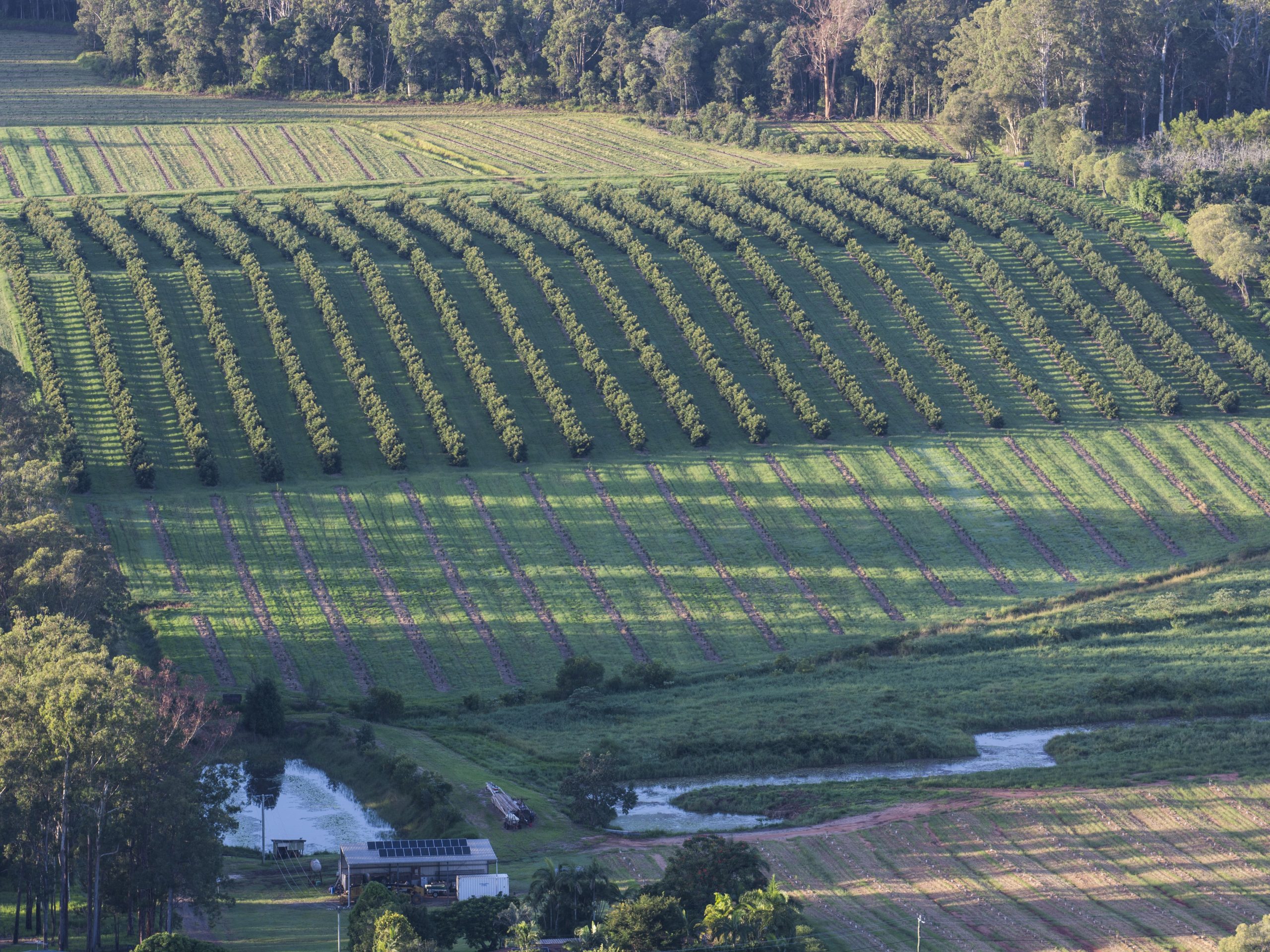 FAN AgTech Demo Day: Noosa region