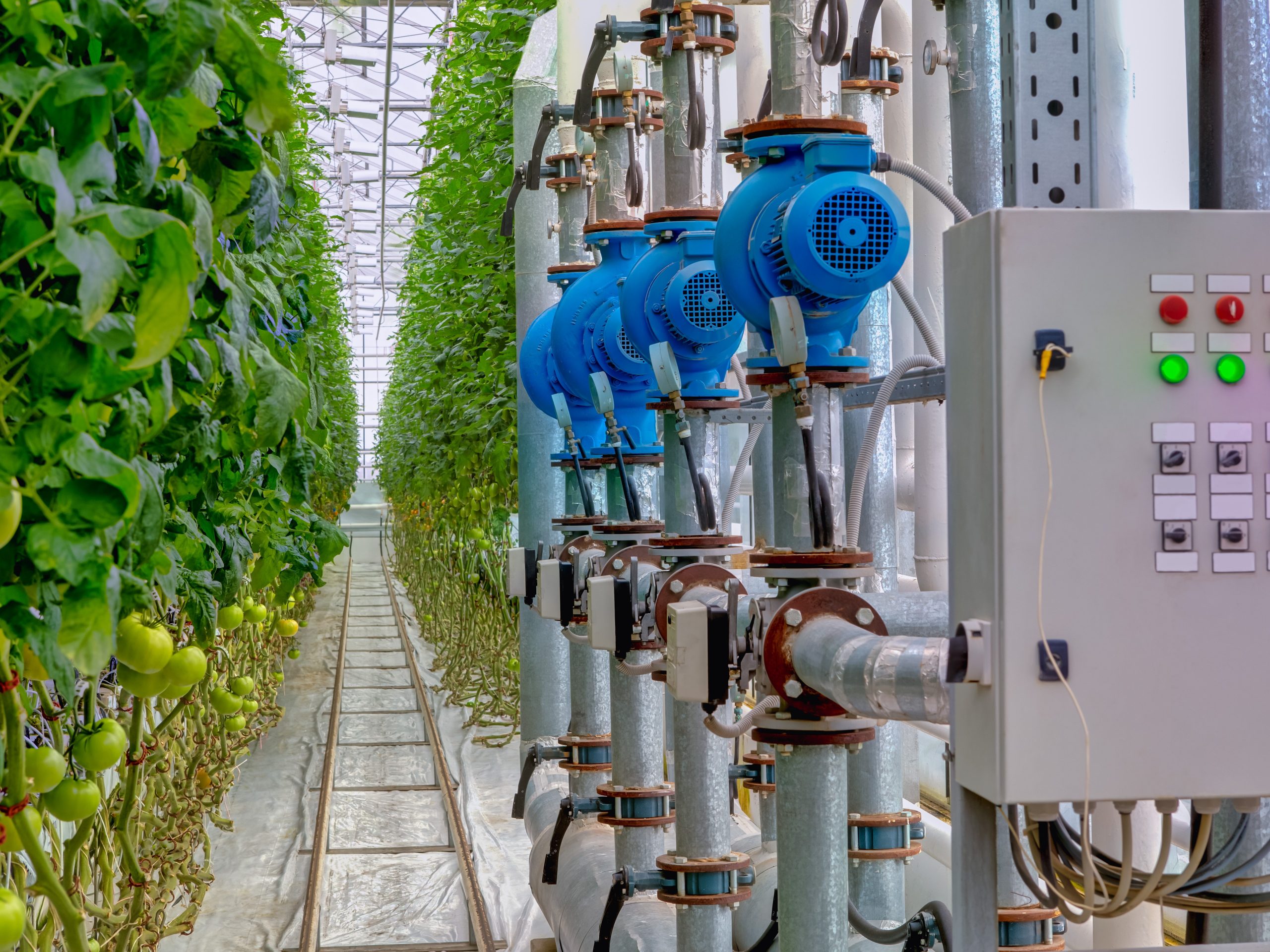 Asia-Pacific Agri-Food Innovation Summit 