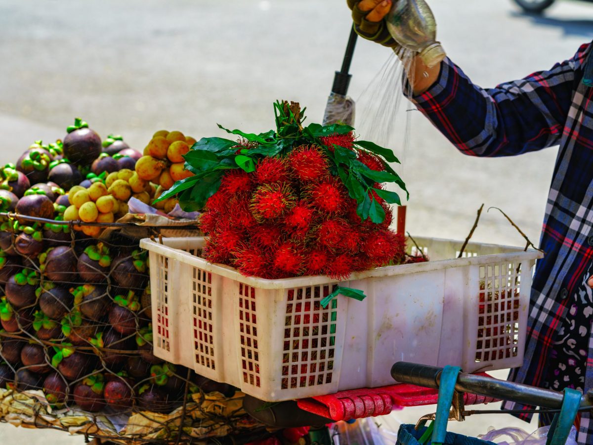 Prospective exporters: this FIAL-led tour is a chance to gain in-depth market intelligence and the opportunity to showcase your products to buyers in Vietnam. Register by 24 October.