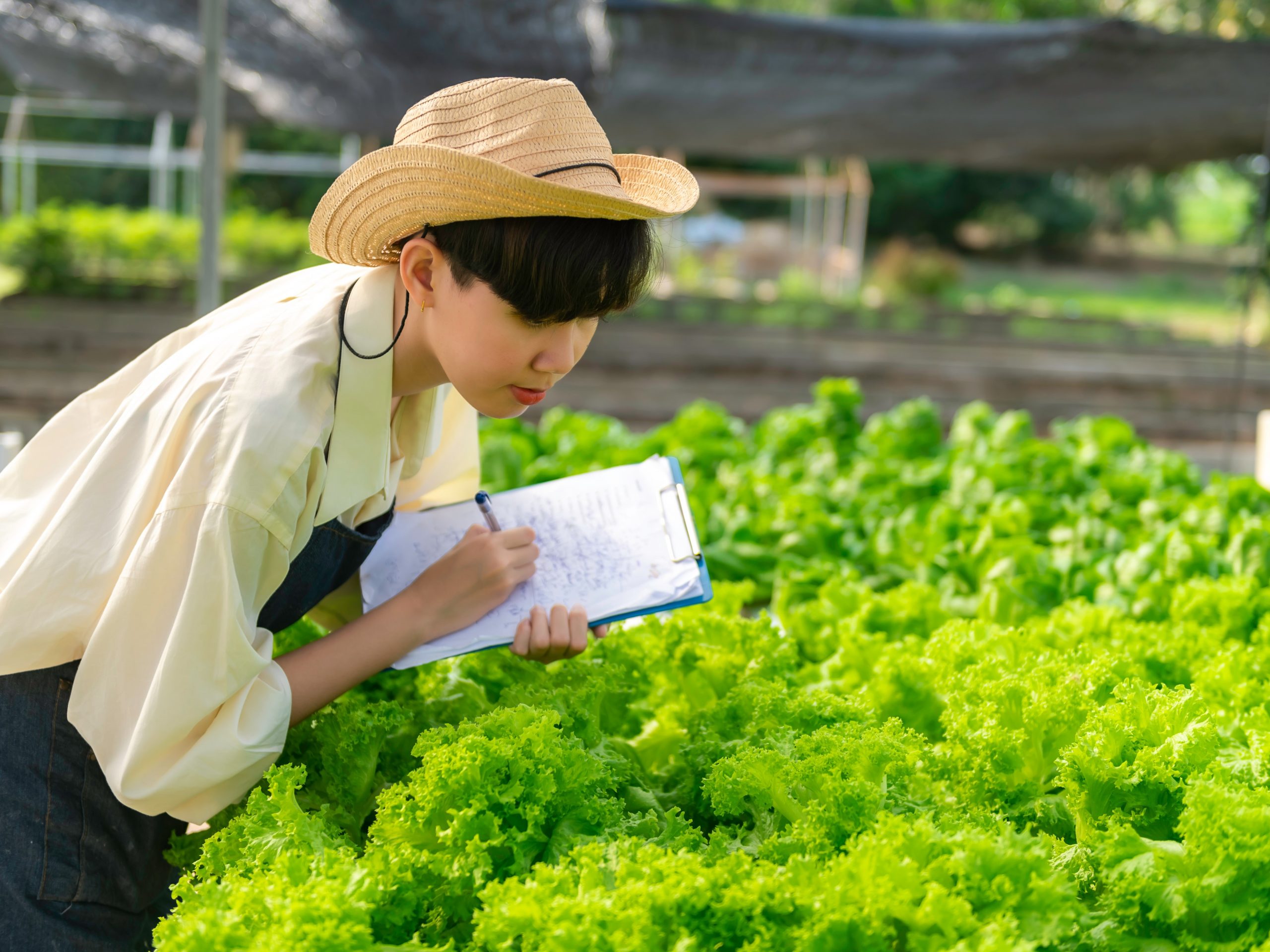 Podcast: Asia’s food system