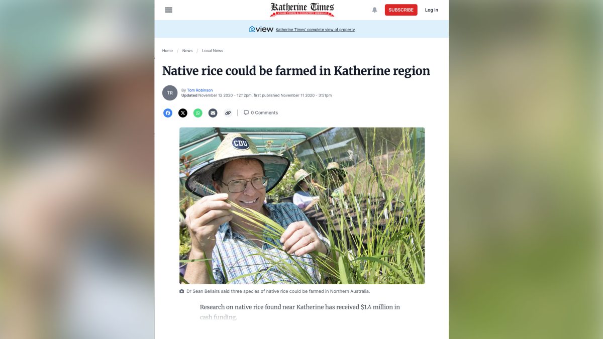 Native rice could be farmed in Katherine region