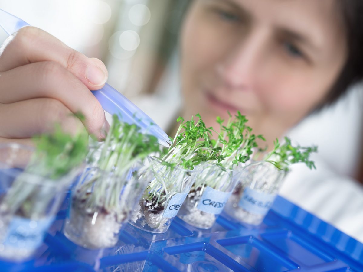 AgCatalyst 2022