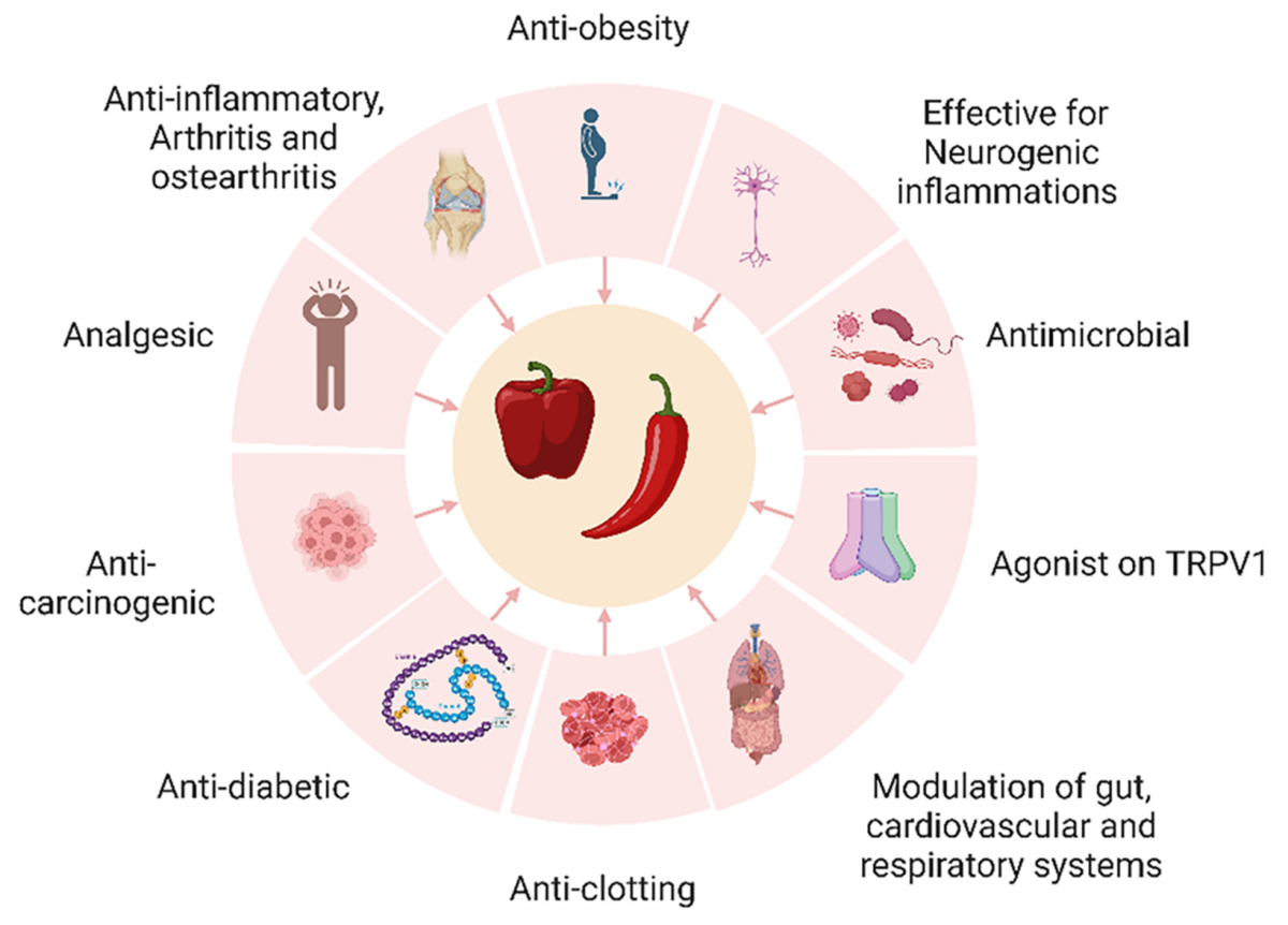 Capsicum Waste as a Sustainable Source of Capsaicinoids for Metabolic Diseases