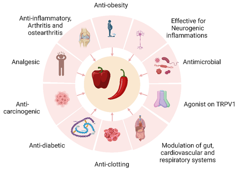 Capsicum Waste as a Sustainable Source of Capsaicinoids for Metabolic Diseases