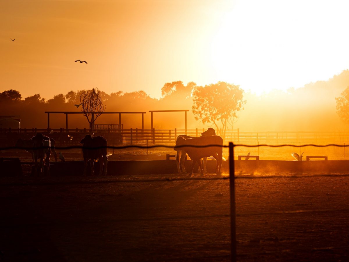 At this biennial event in Darwin, NT, regional stakeholders including heavy-hitters from government and business will discuss issues impacting agriculture-sector growth and investment across Australia’s fertile north.