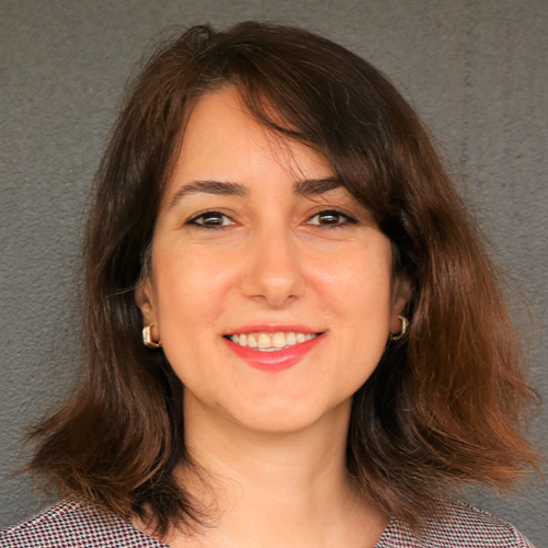Dr Elnaz Irannezhad