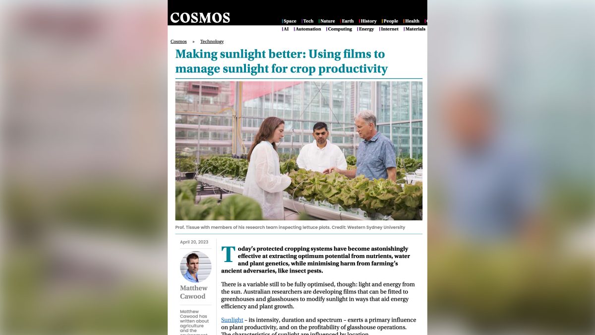 Making sunlight better: Using films to manage sunlight for crop productivity