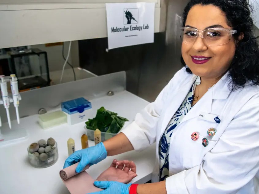 https://www.futurefoodsystems.com.au/wp-content/uploads/2023/06/Dr-Elnaz-Saki-in-the-lab-at-Charles-Darwin-University.-Credit-Charles-Darwin-University_CROP.jpg